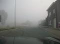 De groene Dendervallei ligt in de mist (2)